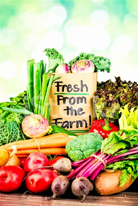 Farm Fresh Vegetables Stock Photo Royalty Free Freeimages