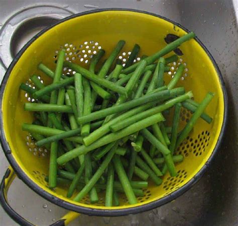 How To Cook Garlic Scapes Just Plain Cooking