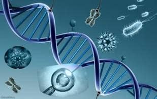 Scribd es red social de lectura y publicación más importante del mundo. Bases de la Genetica - Monografias.com