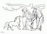 Coloring Pages Horse Wolf Printable Barrel Teens Racing Rearing Print Realistic Color Hard Teenagers Fairy Colouring Horses Simple Printables Popular sketch template