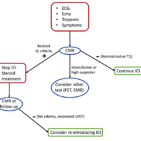 Proposed Diagnostic Algorithm For The Evaluation Of Patients With