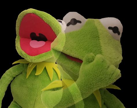 Download Kermit Meme No Words Png And  Base