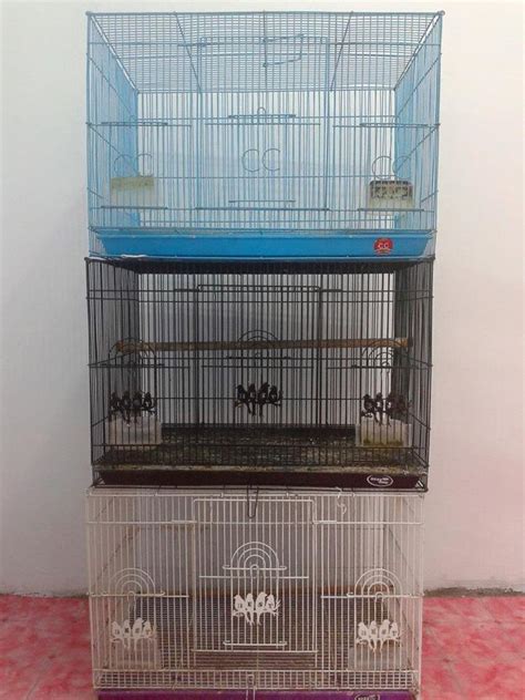 Daftar harga kandang kotak lovebird jumbo terbaru maret 2021. Ukuran Kandang Penangkaran Lovebird yang Baik