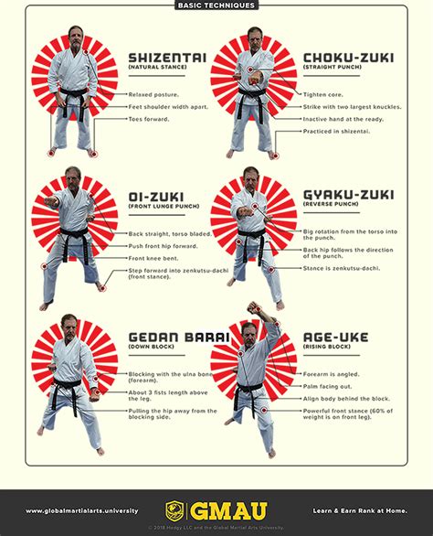 The Complete Beginner’s Guide To Shotokan Karate Global Martial Arts University