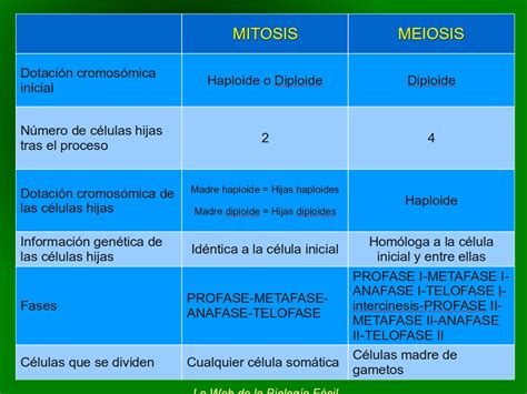 Bioprofe4 Comparación Entre Mitosis Y Meiosis