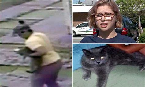 Shocking Video Shows Woman Stealing Cat From The Front Porch Of Owner Who Begs For Her Safe