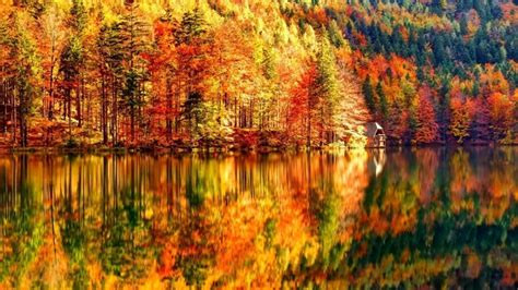 Autumn Landscape Hd Wallpaper Wallpaperfx