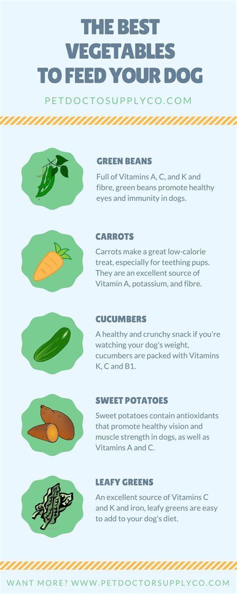 For example, improper carbohydrate and fiber levels. Which Vegetables Are Good for Dogs | Dog food recipes ...