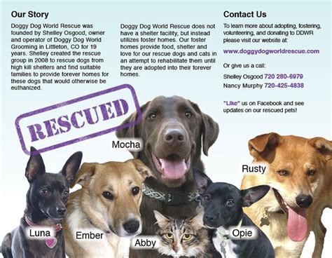 Inside Of Trifold Brochure For Local Dog Rescue Organization Rescue