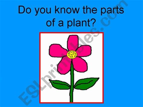 Esl English Powerpoints Parts Of A Plant Game