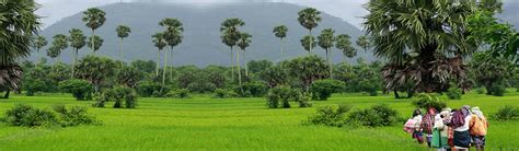 Book palakkad to alleppey train tickets, and check timetable & fare on goibibo. Monsoon Tourism Pallakad