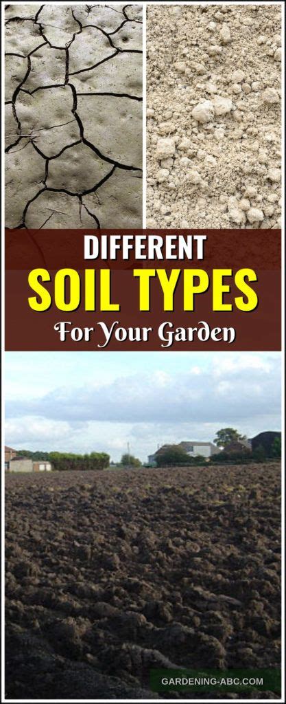 4 Different Types Of Soil Choose The Best Soil Type For You Types Of