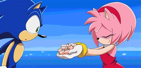 Sonic And Amy Sonic And Amy Photo Fanpop Page