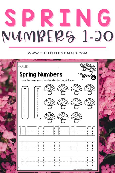 Springnumberpracticeworksheets For Preschool And Kindergarten