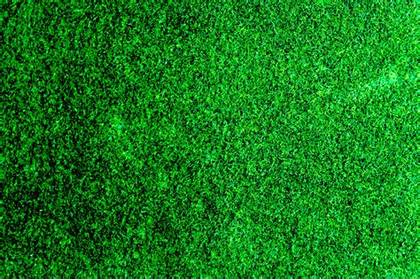 1000 Beautiful Green Background Photos · Pexels · Free Stock Photos