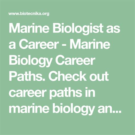 Marine Biologist As A Career Marine Biology Career Paths Check Out