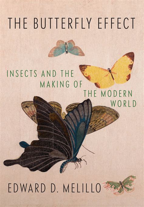 The Butterfly Effect By Edward D Melillo Penguin Books Australia