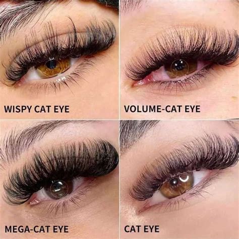 Cat Eyelash Extensions All About The Most Popular Style Lashes Fake