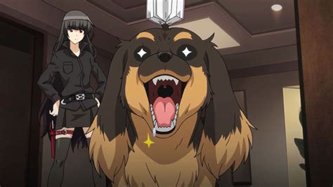7 Best Dog Names From Movies And Anime