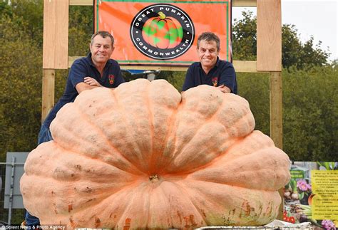 Brothers Who Grew Uks Biggest Pumpkin Break Own Record Daily Mail Online