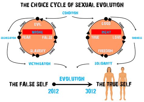 Advanced Theory Of Sexual Evolution Chaun Conscious