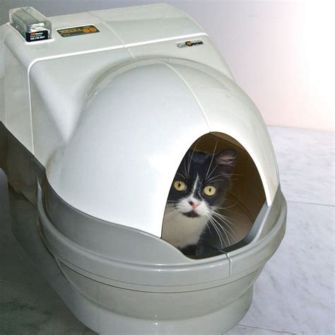 Catgenie Self Flushing Cat Box Cat Box Cat Toilet Buy A Cat