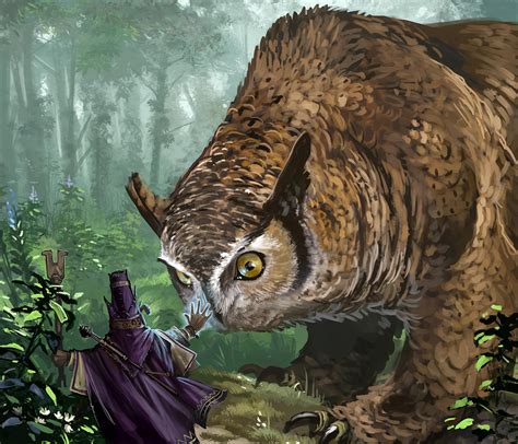 The Order Of Owlbears Adohands Kitchen Off Topic Dandd Beyond