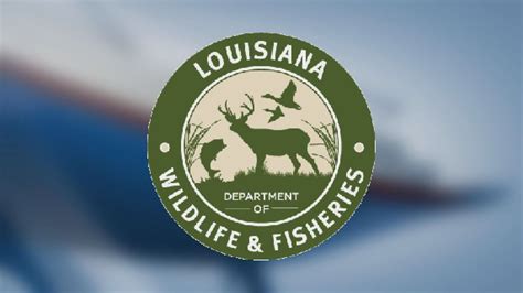 Louisiana Department Of Wildlife And Fisheries Presents Proposals For