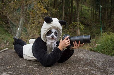 Ami Vitale Donned A Special Disguise When Photographing Pandas At The