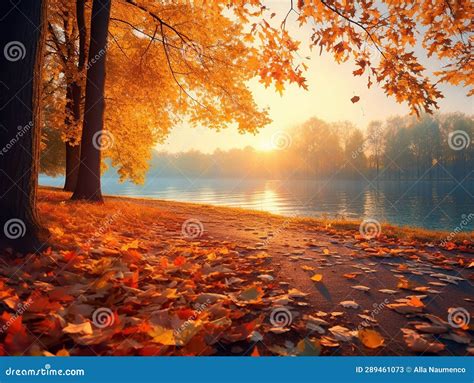 Beautiful Autumn Landscape With Colored Foliage In The Park Stock