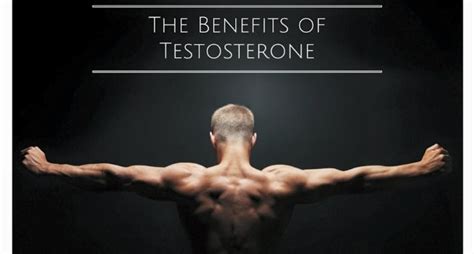 testosterone levels impact sexual function