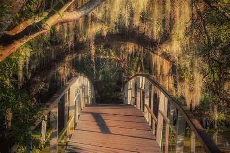 Get Some Sun This Weekend At The Magnolia Plantation And Gardens