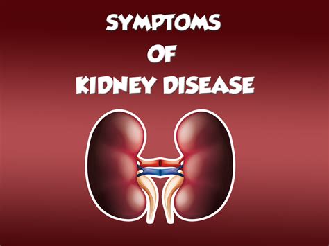 Kidney Disease Symptoms To Watch Kauvery Hospital
