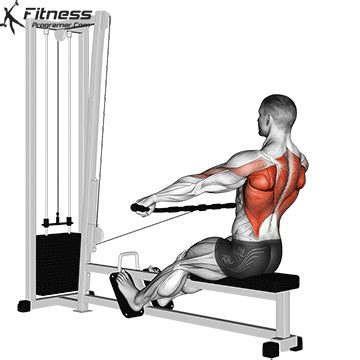 Seated Cable Row Workout Planner Exercícios de musculação Exercício para homens Treino abs