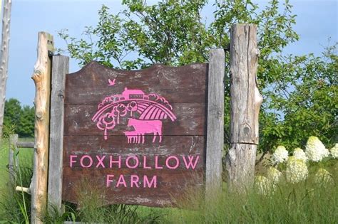 Foxhollow Farm Returns To Its Roots