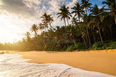 Romantic Sunset On A Tropical Beach With Palm Trees Stock Photo Image