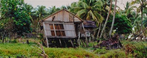 On This Day Papua New Guinea Tsunami Of 1998 News National Centers
