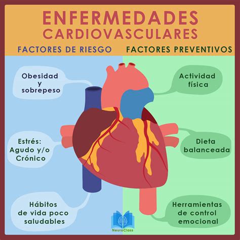 Enfermedades Cardiovasculares Factores De Riesgo Neuroclass