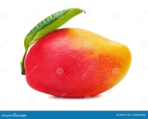 Fresh Mango Fruit With Green Leaves Isolated On White Background Stock