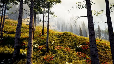 Procedural Forest Terrain Production With Houdini And Ue4