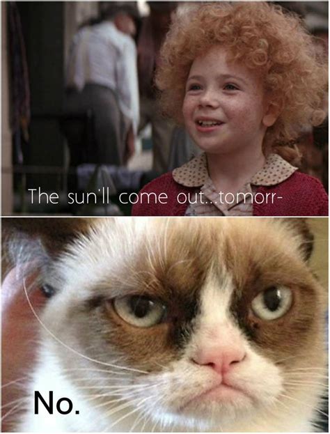 Grumpy Cat Annie Grumpy Cat Funny Grumpy Cat Memes Grumpy Cat Humor