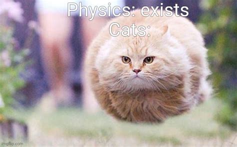 Physics In A Nutshell With Cats Imgflip