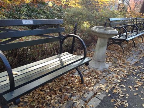 Central Park Benches This Is The Love Story Of New Yorkers