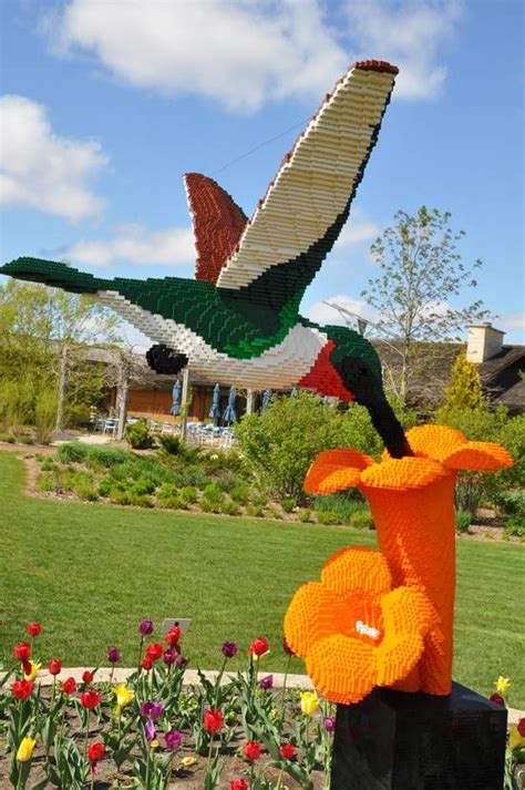 Maybe you would like to learn more about one of these? Hummingbird and Flower- A Must see if you are anywhere ...