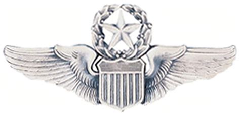 Usaf Command Pilot Badge Stitchs Loft