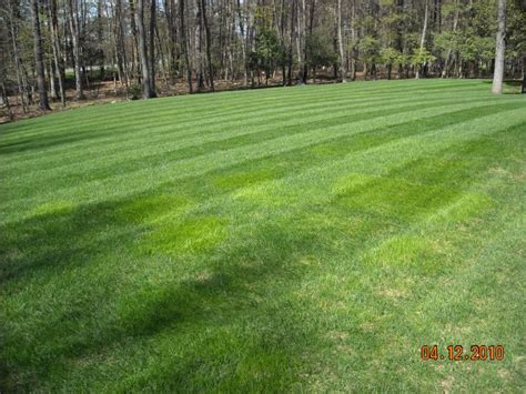 Light Green Spots Lawn Care Forum