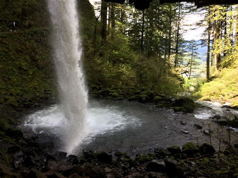 The 10 Most Beautiful Spring Hikes In Oregon Huffpost