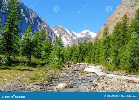 View On Aktru River Mountains And Aktru Glacier Altai Republic