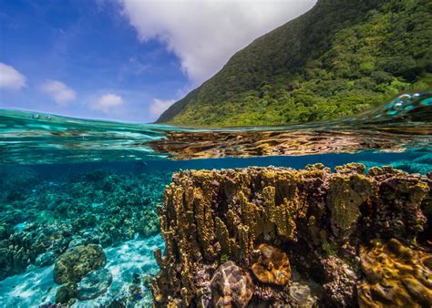 It is part of the region of the pacific known as polynesia. Coral Reefs: American Samoa — Coral Reef Image Bank