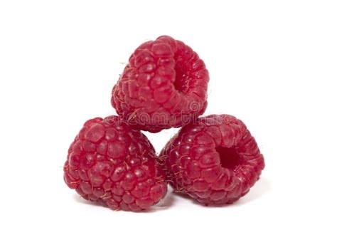 Raspberries On White Background Stock Image Image Of Freshness